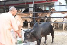 योगी सरकार पशुओं के लिए बनाएगी अत्याधुनिक सुविधाओं से लैस अस्पताल