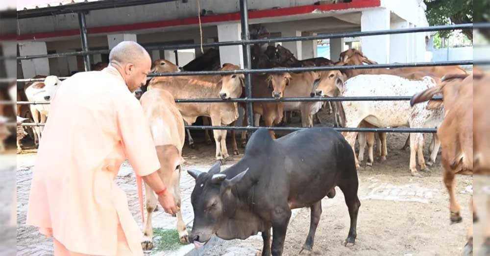 योगी सरकार पशुओं के लिए बनाएगी अत्याधुनिक सुविधाओं से लैस अस्पताल