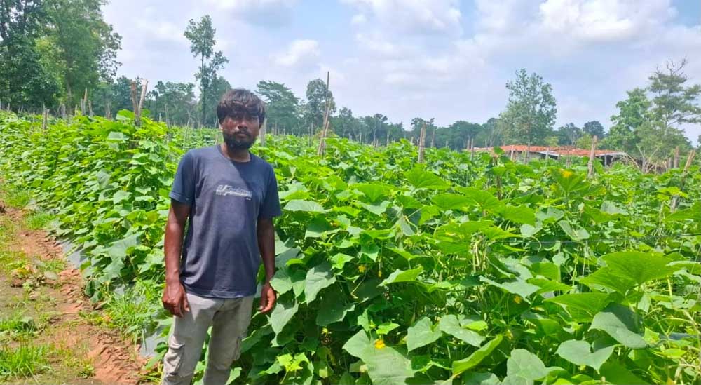 उद्यानिकी विभाग की योजना से बदली कमार कृषक की तकदीर उद्यानिकी विभाग की योजना से बदली कमार कृषक की तकदीर