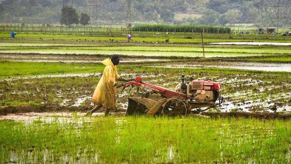 धमतरी में कृषि क्रांति: 22 नई सहकारी समितियों से किसानों की राह आसान धमतरी में कृषि क्रांति: 22 नई सहकारी समितियों से किसानों की राह आसान