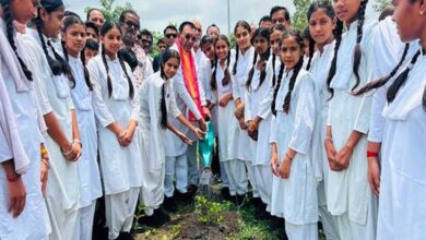 भावी पीढ़ी के लिए हरित मध्यप्रदेश का निर्माण हमारी प्राथमिकता: राज्यमंत्री पंवार भावी पीढ़ी के लिए हरित मध्यप्रदेश का निर्माण हमारी प्राथमिकता: राज्यमंत्री पंवार