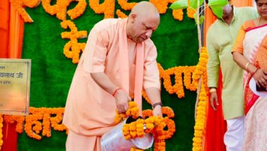 योगी सरकार के हरित महाअभियान में शिक्षा विभाग के संस्थानों में रोपे गए 43 लाख पौधे