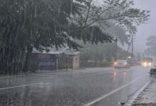 Weather Update 31 July: मॉनसून ने पकड़ी रफ्तार, यूपी-बिहार समेत 15 राज्यों में झमाझम बारिश का अलर्ट