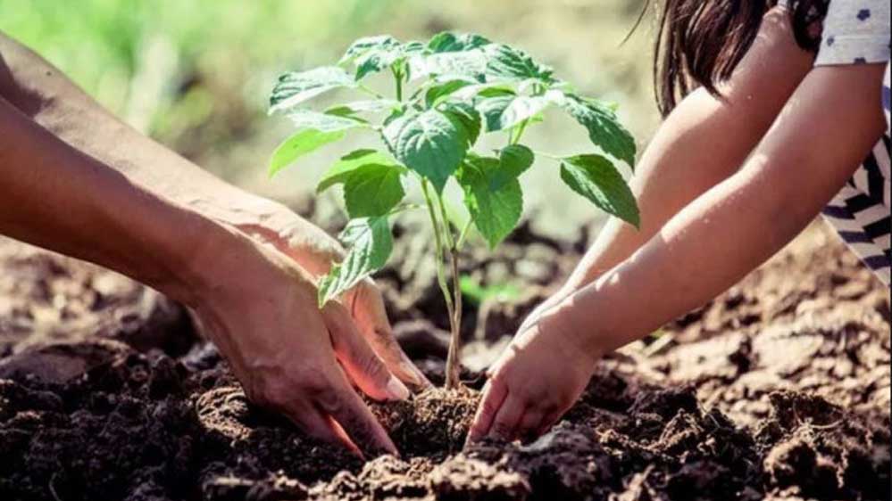 एक पेड़ मां के नाम 3.0′ से हरित चेतना को मिलेगा नया विस्तार, जुलाई में विद्यालयों में पर्यावरण संरक्षण का महाअभियान