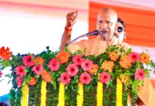 वृक्षारोपण महायज्ञ-2026 बना जन आंदोलन, सोनभद्र जिले में हुआ सर्वाधिक पौधरोपण