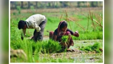 झारखंड में किसानों के लिए बड़ा फैसला, भूमि संरक्षण योजनाओं पर मंत्री ने दिखाई सख्ती