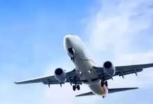 पटना एयरपोर्ट पर बढ़ा बर्ड हिट का खतरा, 2025 में सामने आए 9 मामले
