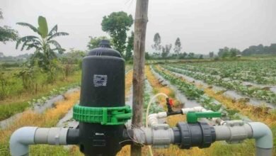 सूक्ष्म सिंचाई योजना से खेती बनी अधिक लाभकारी, ड्रिप सिंचाई अपनाकर किसान ने बढ़ाया सब्जी उत्पादन सूक्ष्म सिंचाई योजना से खेती बनी अधिक लाभकारी, ड्रिप सिंचाई अपनाकर किसान ने बढ़ाया सब्जी उत्पादन