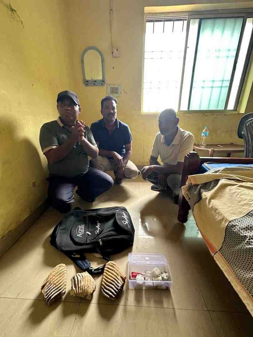 वन्यजीव संरक्षण अधिनियम के तहत तीन आरोपी गिरफ्तार, न्यायिक हिरासत में भेजे गए वन्यजीव संरक्षण अधिनियम के तहत तीन आरोपी गिरफ्तार, न्यायिक हिरासत में भेजे गए