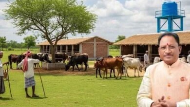 छत्तीसगढ़ में निराश्रित मवेशियों के संरक्षण के लिए बड़ी पहल