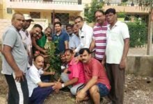 गणपति विहार में मनाया गया हरेली त्यौहार 