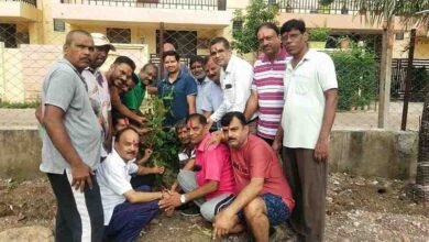 गणपति विहार में मनाया गया हरेली त्यौहार गणपति विहार में मनाया गया हरेली त्यौहार