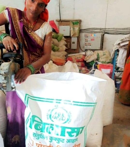 बिहान योजना से आत्मनिर्भर बनीं बिलासपुर की महिलाएं बिहान योजना से आत्मनिर्भर बनीं बिलासपुर की महिलाएं