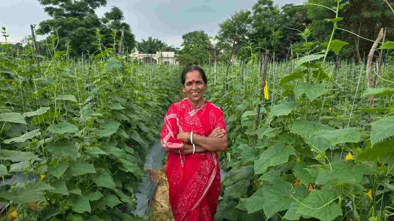 “बहनों की खुशहाली एवं आत्मनिर्भरता का उपहार, विष्णु भैया की सरकार।” “बहनों की खुशहाली एवं आत्मनिर्भरता का उपहार, विष्णु भैया की सरकार।”