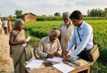 लखनऊ के किसानों को फसल बीमा का मौका, 14 और 31 अगस्त तक आवेदन