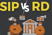 हर महीने ₹5,000 निवेश करने हैं? FD, RD या SIP—कहां मिलेगा बेहतर रिटर्न, जानें पूरा हिसाब