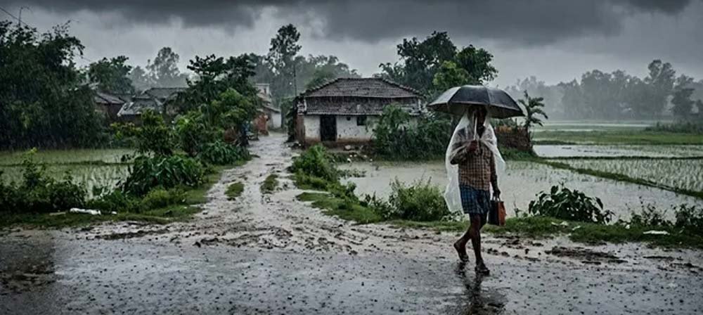 यूपी में फिर सक्रिय हुआ मानसून, कई जिलों में भारी बारिश का अलर्ट; किसानों के लिए एडवाइजरी जारी यूपी में फिर सक्रिय हुआ मानसून, कई जिलों में भारी बारिश का अलर्ट; किसानों के लिए एडवाइजरी जारी