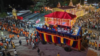 रायपुर : विश्व प्रसिद्ध ऐतिहासिक बस्तर दशहरा पर्व, पाट जात्रा पूजा विधान के साथ कल से शुरू होगा