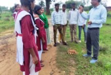 सीड बॉल से हरियाली की ओर बढ़े पिपरिया के विद्यार्थी सीड बॉल से हरियाली की ओर बढ़े पिपरिया के विद्यार्थी