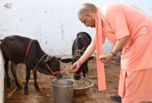 यूपी में 10 हजार गो मित्र बनेंगे, योगी सरकार Gen Z को गो संरक्षण से जोड़ेगी