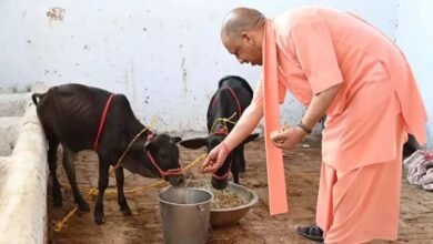 यूपी में 10 हजार गो मित्र बनेंगे, योगी सरकार Gen Z को गो संरक्षण से जोड़ेगी