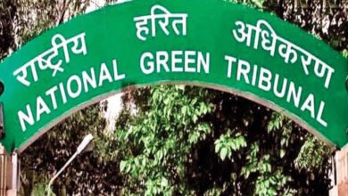 17 लाख जमा, 24 साल बाद भी सीवेज लाइन गायब! भोपाल नगर निगम पर NGT सख्त 17 लाख जमा, 24 साल बाद भी सीवेज लाइन गायब! भोपाल नगर निगम पर NGT सख्त