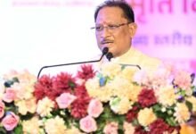 विभाजन की पीड़ा से सीख लेकर देश की एकता और अखंडता को अक्षुण्ण रखना हम सभी का दायित्व : मुख्यमंत्री विष्णुदेव साय
