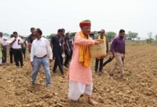 15 अगस्त विशेष: सुदृढ़ कृषि व्यवस्था और पारदर्शी सुशासन से बदल रही छत्तीसगढ़ के किसानों की तकदीर