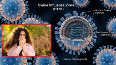 रांची में बढ़े स्वाइन फ्लू के मामले, रिम्स में 10 बेड का अलग आइसोलेशन इंतजाम रांची में बढ़े स्वाइन फ्लू के मामले, रिम्स में 10 बेड का अलग आइसोलेशन इंतजाम