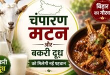 चंपारण मटन और बकरी दूध को मिलेगी नई पहचान, GI टैग की तैयारी