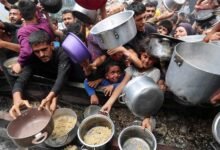 Global Food Crisis Warning: 2027 में मंडरा रहा खाद्य संकट! JP Morgan ने बताया बड़ा खतरा, ये 5 कारण बनेंगे ‘विलेन’