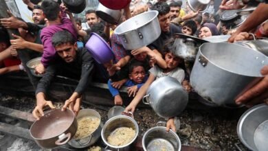 Global Food Crisis Warning: 2027 में मंडरा रहा खाद्य संकट! JP Morgan ने बताया बड़ा खतरा, ये 5 कारण बनेंगे ‘विलेन’