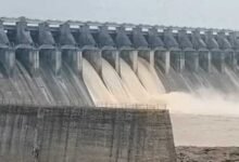 MP Weather Alert: रीवा-बालाघाट समेत 14 जिलों में भारी बारिश का अलर्ट, बरगी बांध के 9 गेट खुले; नर्मदा घाटों पर चेतावनी