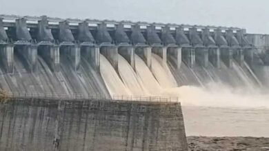 MP Weather Alert: रीवा-बालाघाट समेत 14 जिलों में भारी बारिश का अलर्ट, बरगी बांध के 9 गेट खुले; नर्मदा घाटों पर चेतावनी MP Weather Alert: रीवा-बालाघाट समेत 14 जिलों में भारी बारिश का अलर्ट, बरगी बांध के 9 गेट खुले; नर्मदा घाटों पर चेतावनी