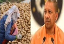 योगी सरकार का आलू किसानों को बड़ा तोहफा, भंडारण शुल्क में ₹1 किलो राहत