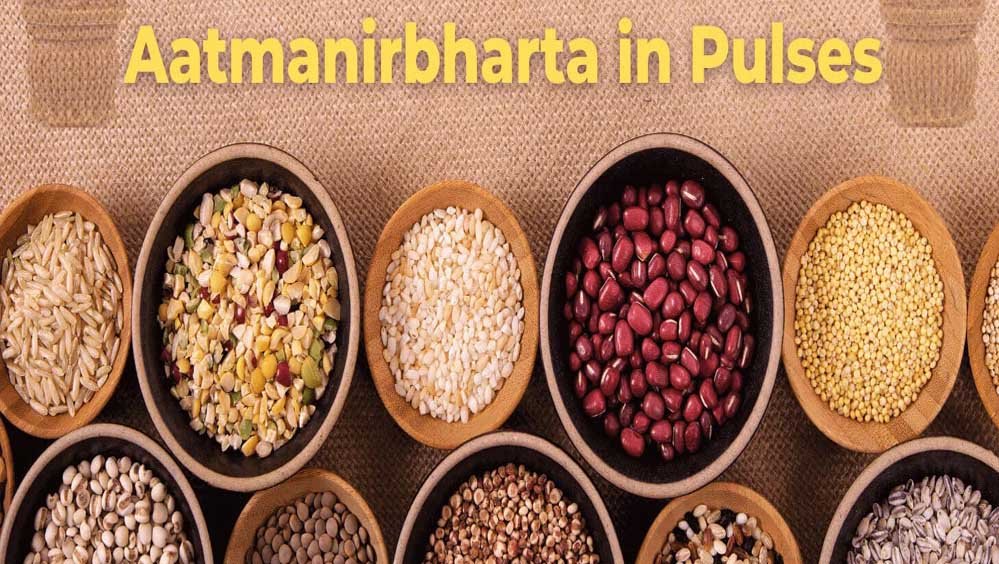 मिशन फॉर आत्मनिर्भरता इन पल्सेस की गतिविधियों की मॉनिटरिंग के लिए राज्य संचालन समिति गठित मिशन फॉर आत्मनिर्भरता इन पल्सेस की गतिविधियों की मॉनिटरिंग के लिए राज्य संचालन समिति गठित