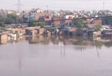 कानपुर में पांडु नदी का कहर, 150 से ज्यादा परिवारों ने किया पलायन; गंगा भी खतरे के करीब