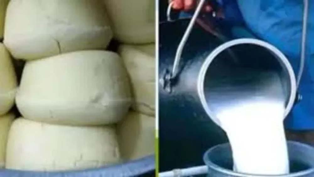यूपी में मिलावटखोरों पर बड़ा शिकंजा, 26 लाख की खाद्य सामग्री जब्त; 18 FIR दर्ज