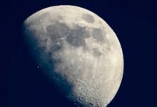 चांद पर भी जिंदा रह सकते हैं धरती के माइक्रोब्स! NASA की स्टडी में बड़ा खुलासा
