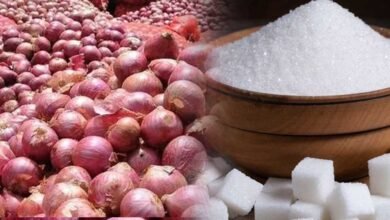 Onion Price Hike: चीनी के बाद अब प्याज ने रुलाया, कीमतों में अचानक तेज उछाल Onion Price Hike: चीनी के बाद अब प्याज ने रुलाया, कीमतों में अचानक तेज उछाल