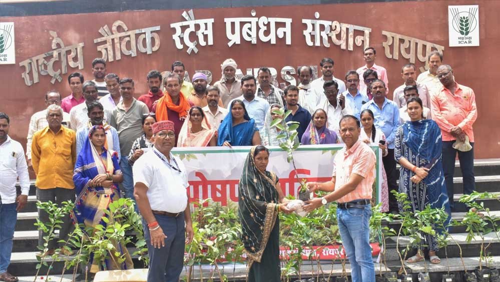 आईसीएआर-एनआईबीएसएम द्वारा ‘पोषण वाटिका’ पर प्रशिक्षण कार्यक्रम आयोजित आईसीएआर-एनआईबीएसएम द्वारा ‘पोषण वाटिका’ पर प्रशिक्षण कार्यक्रम आयोजित