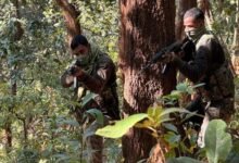 झारखंड पुलिस का रिपोर्ट कार्ड: 10 माओवाद प्रभावित क्षेत्र हुए मुक्त, 113 माओवादी गिरफ्तार