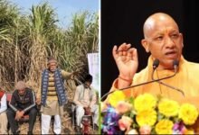 योगी सरकार ने गन्ना किसानों को किया 3.25 लाख करोड़ रुपये का भुगतान
