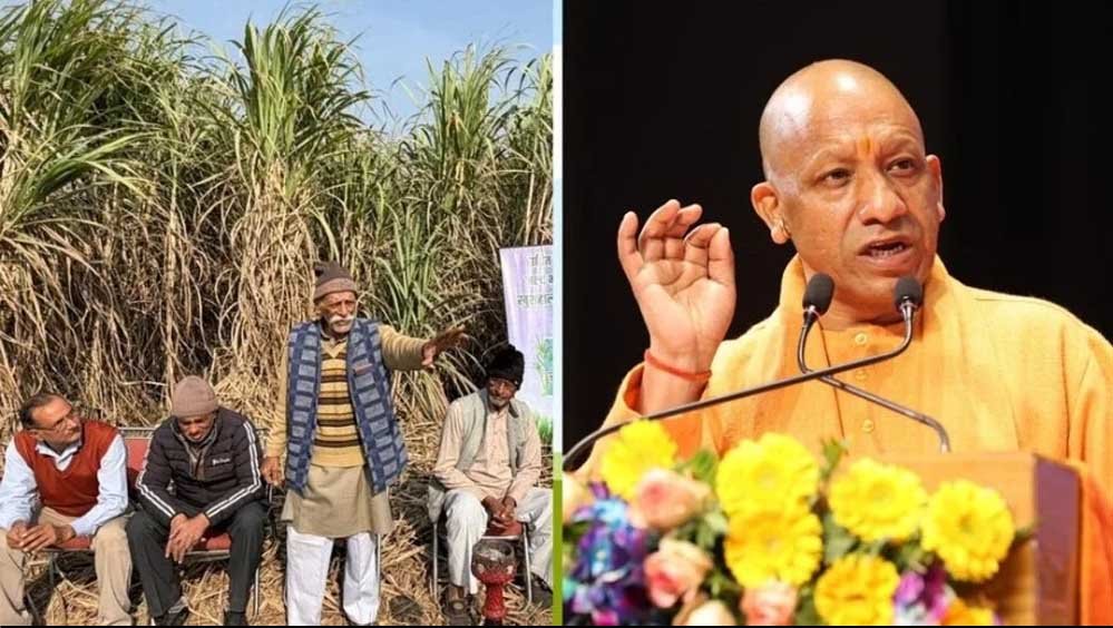 योगी सरकार ने गन्ना किसानों को किया 3.25 लाख करोड़ रुपये का भुगतान योगी सरकार ने गन्ना किसानों को किया 3.25 लाख करोड़ रुपये का भुगतान