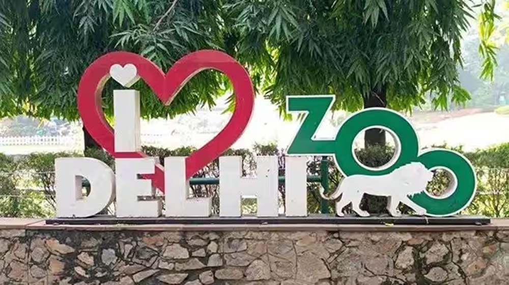 दिल्ली चिड़ियाघर का होगा कायाकल्प, अगले महीने से 400 करोड़ की मॉडर्नाइजेशन योजना पर काम शुरू
