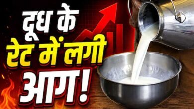 त्योहारों से पहले महंगाई का झटका! दूध के दाम सीधे ₹9 बढ़े, जानें नई कीमतें कब से लागू त्योहारों से पहले महंगाई का झटका! दूध के दाम सीधे ₹9 बढ़े, जानें नई कीमतें कब से लागू