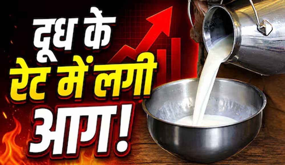 त्योहारों से पहले महंगाई का झटका! दूध के दाम सीधे ₹9 बढ़े, जानें नई कीमतें कब से लागू त्योहारों से पहले महंगाई का झटका! दूध के दाम सीधे ₹9 बढ़े, जानें नई कीमतें कब से लागू