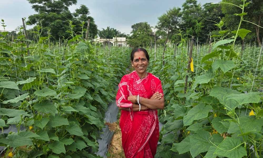 बिहान से बहनों को मिला आर्थिक संबल, खीरे की खेती से सुभद्रा मंडल ने लिखी आत्मनिर्भरता की नई कहानी बिहान से बहनों को मिला आर्थिक संबल, खीरे की खेती से सुभद्रा मंडल ने लिखी आत्मनिर्भरता की नई कहानी