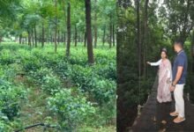 हजारीबाग का डेमोटांड फार्म बनेगा एग्रो टूरिज्म केंद्र, किसानों को मिलेगा प्रशिक्षण