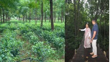 हजारीबाग का डेमोटांड फार्म बनेगा एग्रो टूरिज्म केंद्र, किसानों को मिलेगा प्रशिक्षण